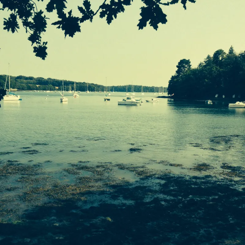 Camping de la Mer blanche