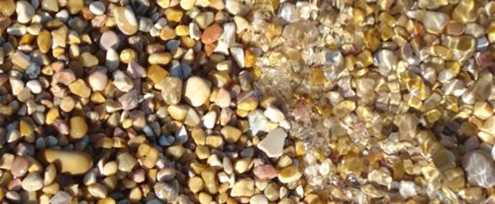 Campeggio Baia dei Campi