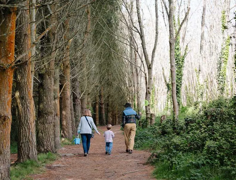 Sun Haven Holiday Park