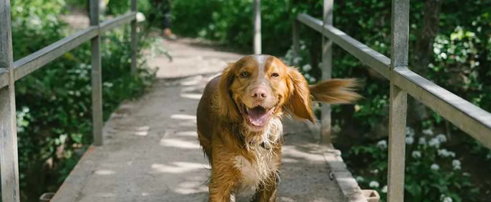 Sun Haven Holiday Park