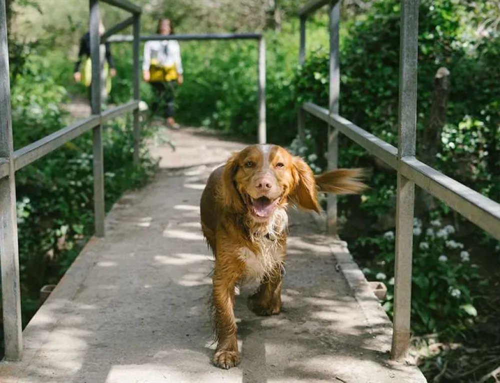 Sun Haven Holiday Park