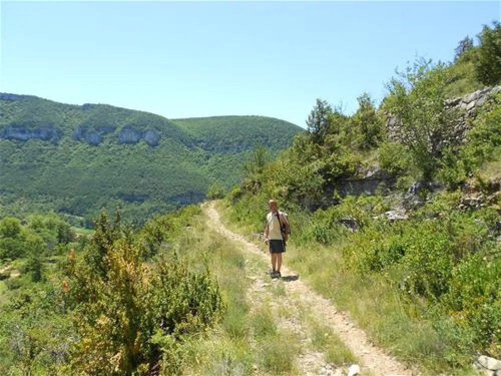 Camping Les Bords du Tarn