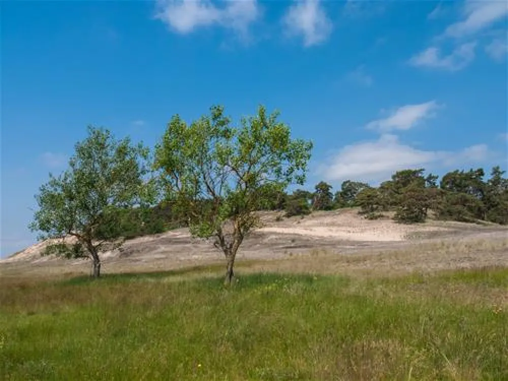 Camping am Wiesengrund