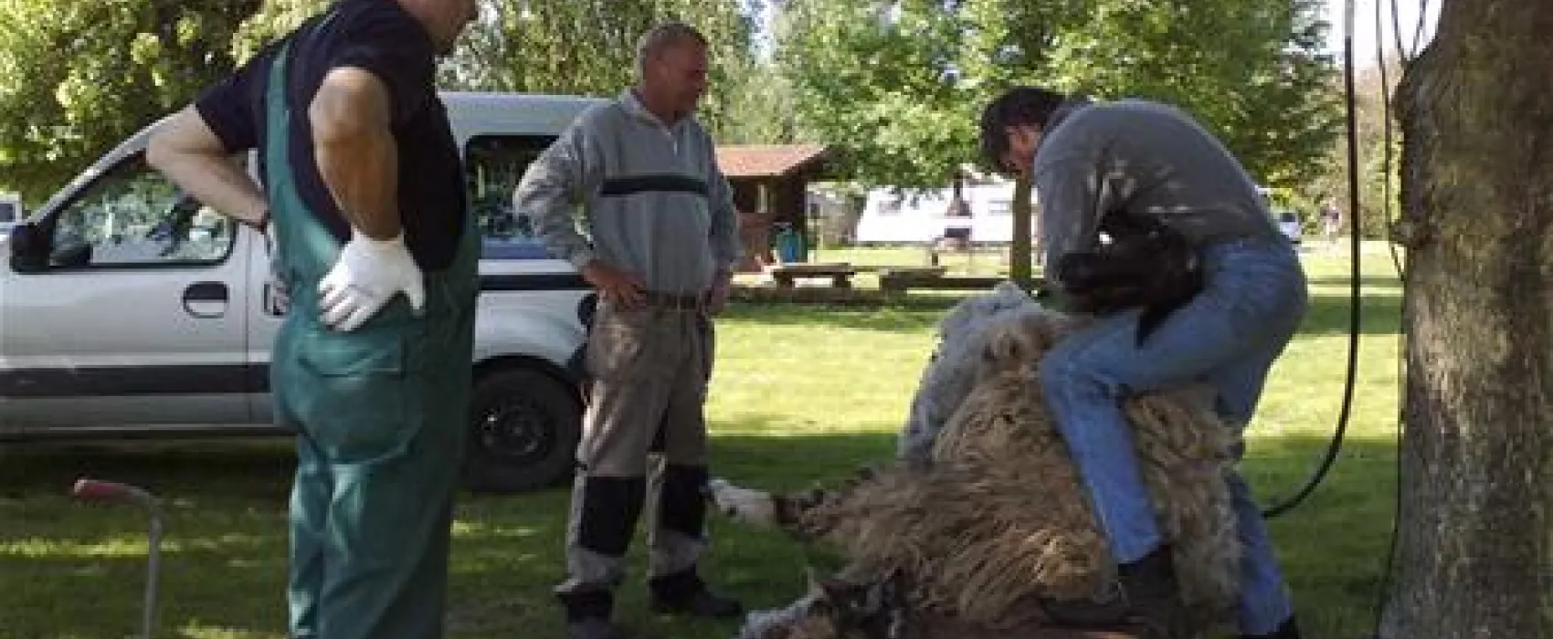 Camping am Wiesengrund