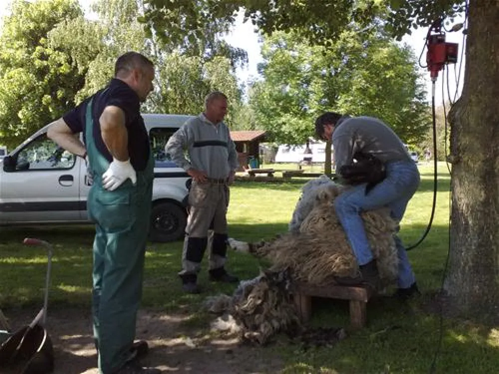 Camping am Wiesengrund