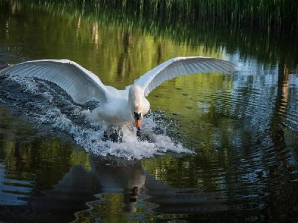 Camping am Wiesengrund