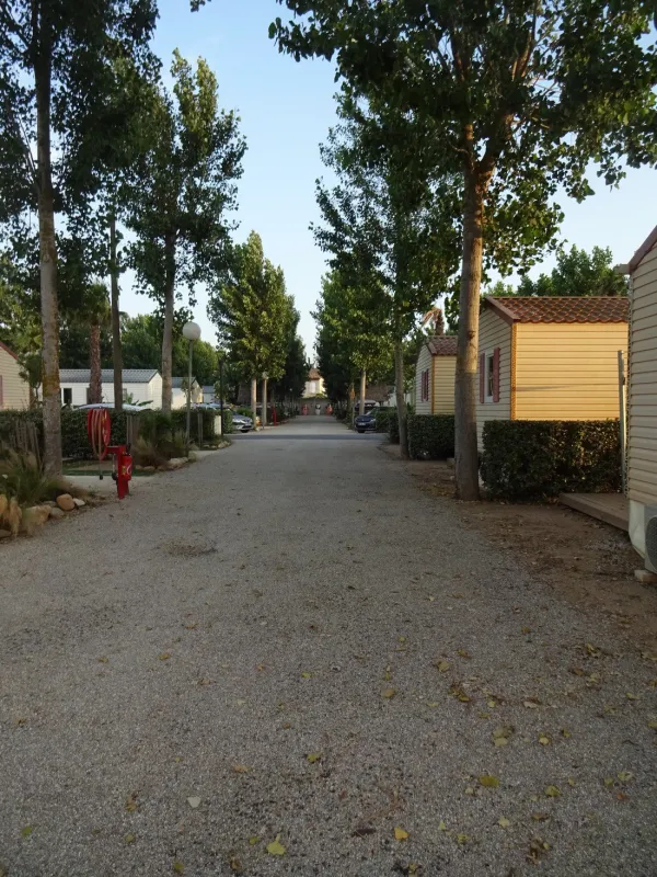 Yelloh! Village Club Farret  