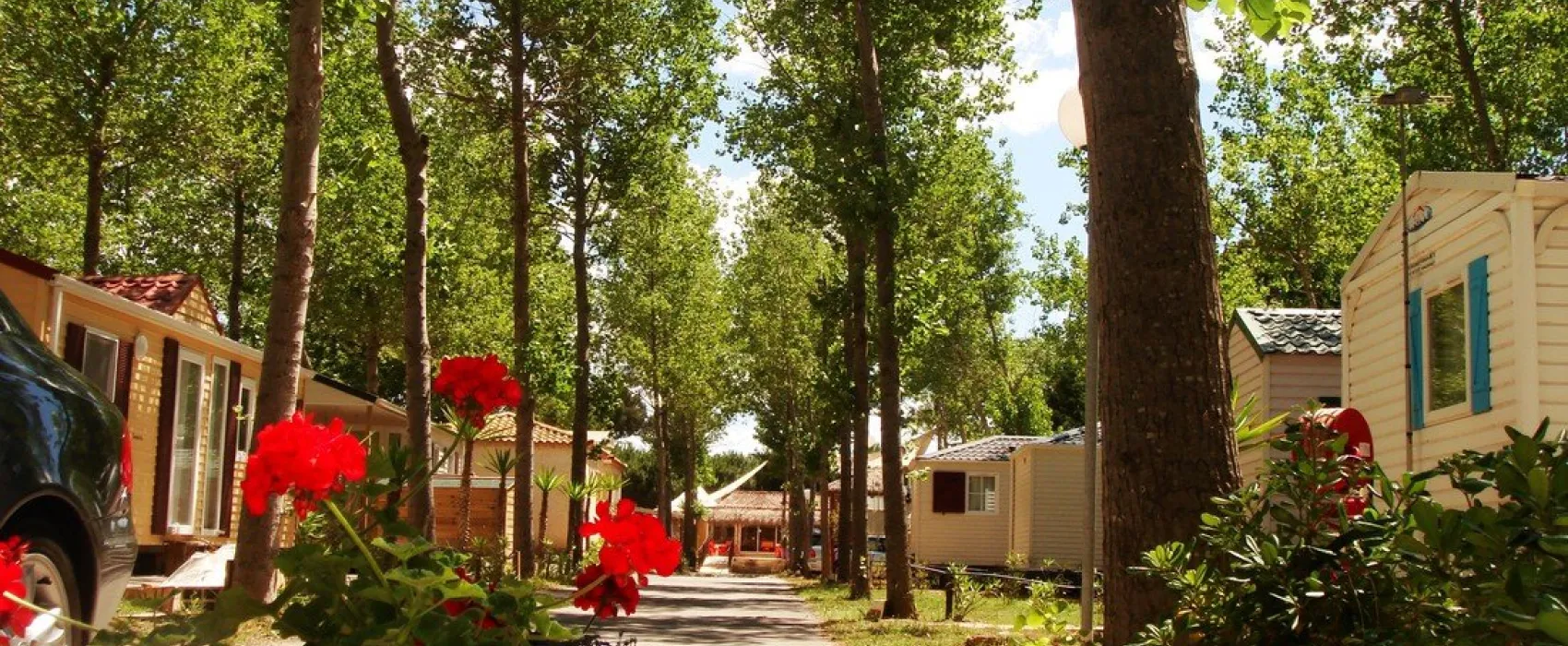 Yelloh! Village Club Farret  