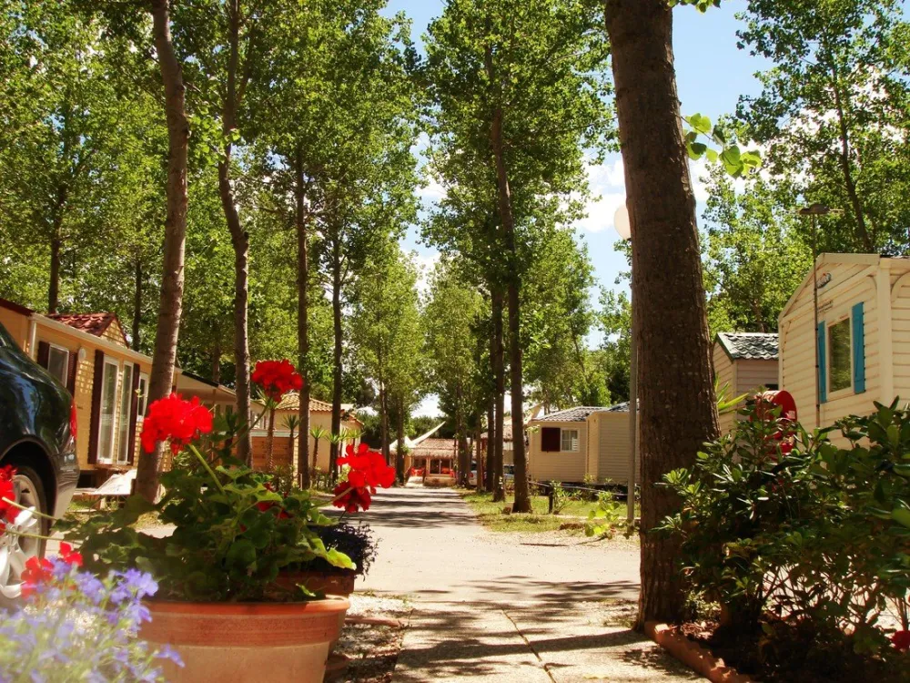 Yelloh! Village Club Farret  