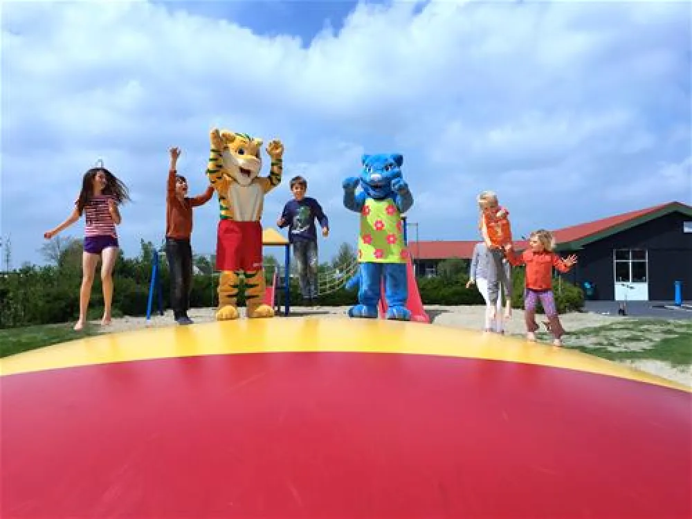 Familiecamping De Molenhoek