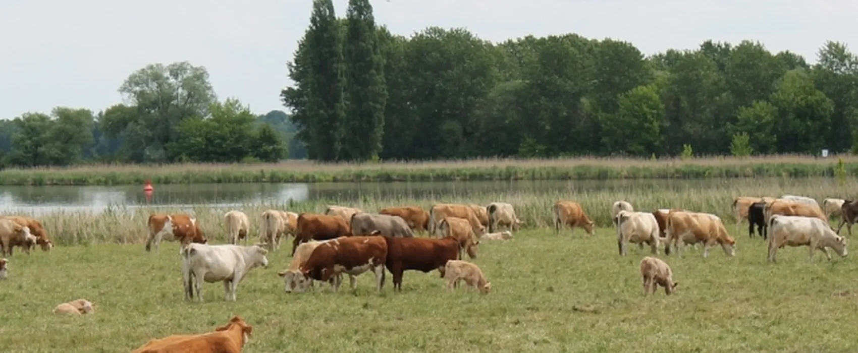 Campingplatz An der Havel