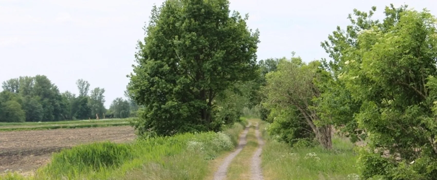 Campingplatz An der Havel