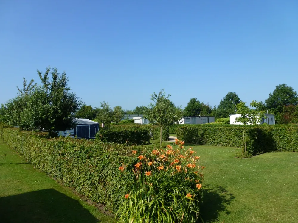 Camping De Boshoorn