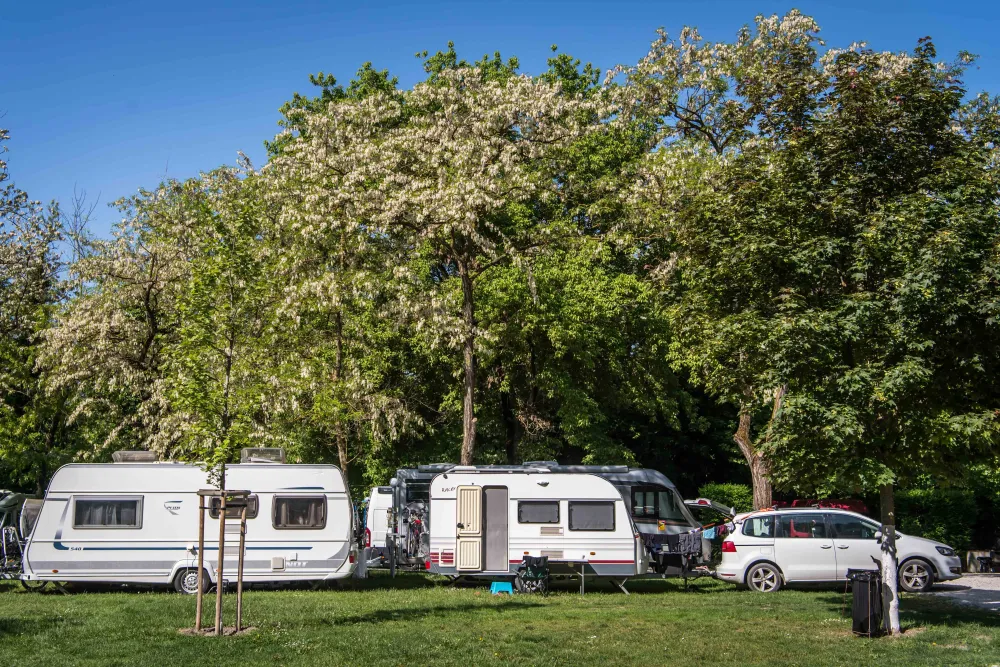 Arena Camping & Guesthouse Budapest
