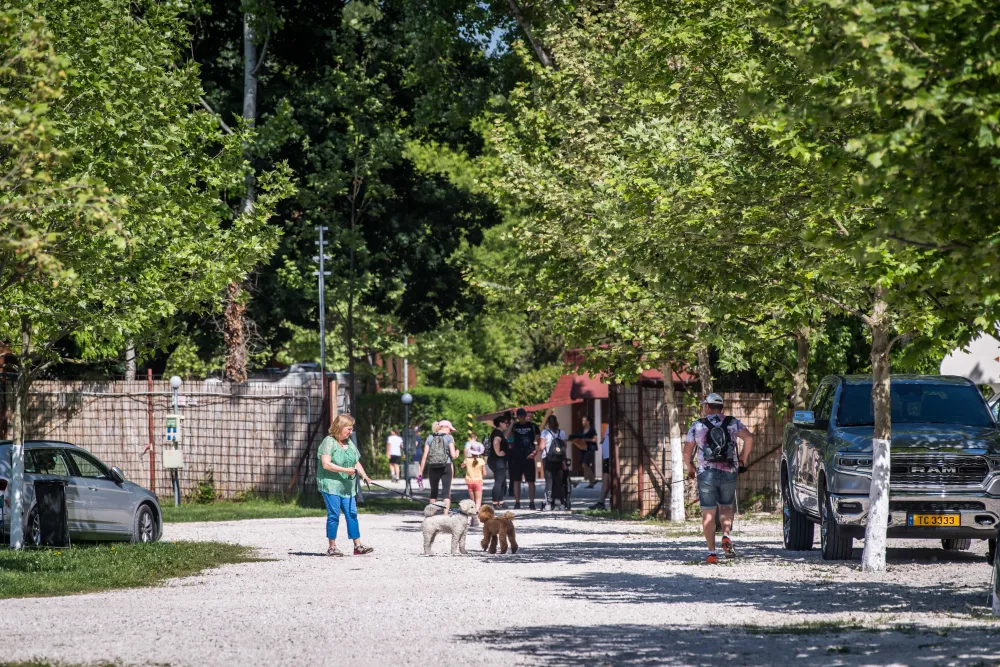 Arena Camping & Guesthouse Budapest