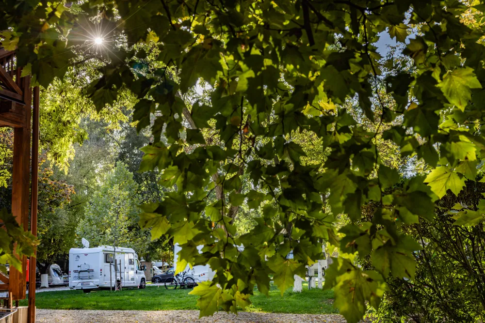 Arena Camping & Guesthouse Budapest