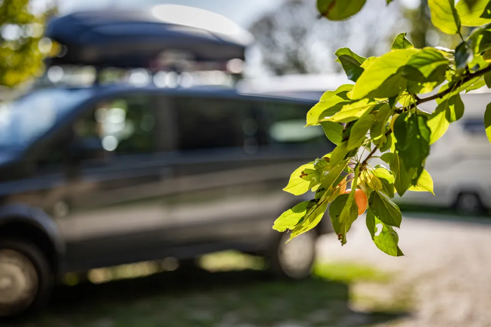 Arena Camping & Guesthouse Budapest