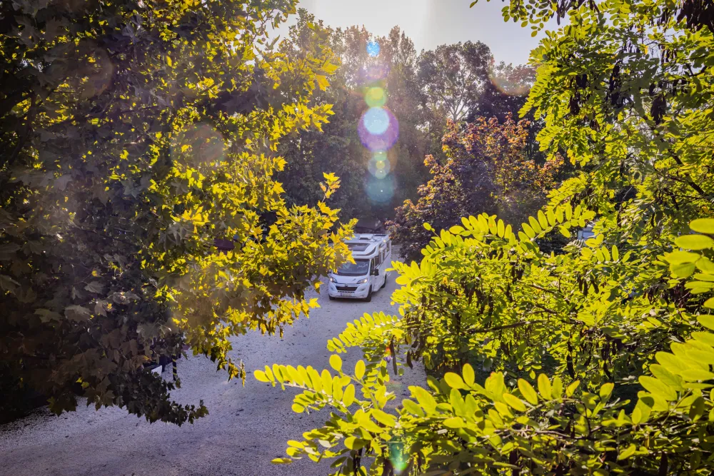 Arena Camping & Guesthouse Budapest