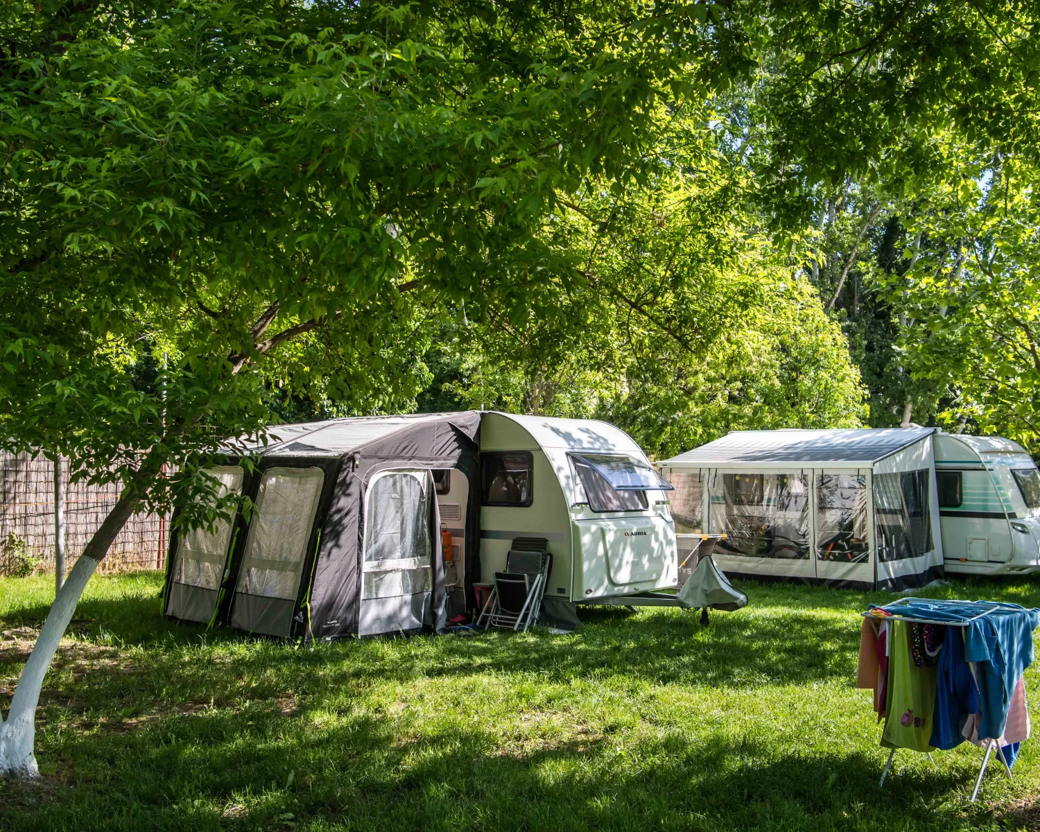 camp rut DEER CAMP The Rut Dark Roast Featuring REALTREE  DEER CAMP COFFEE