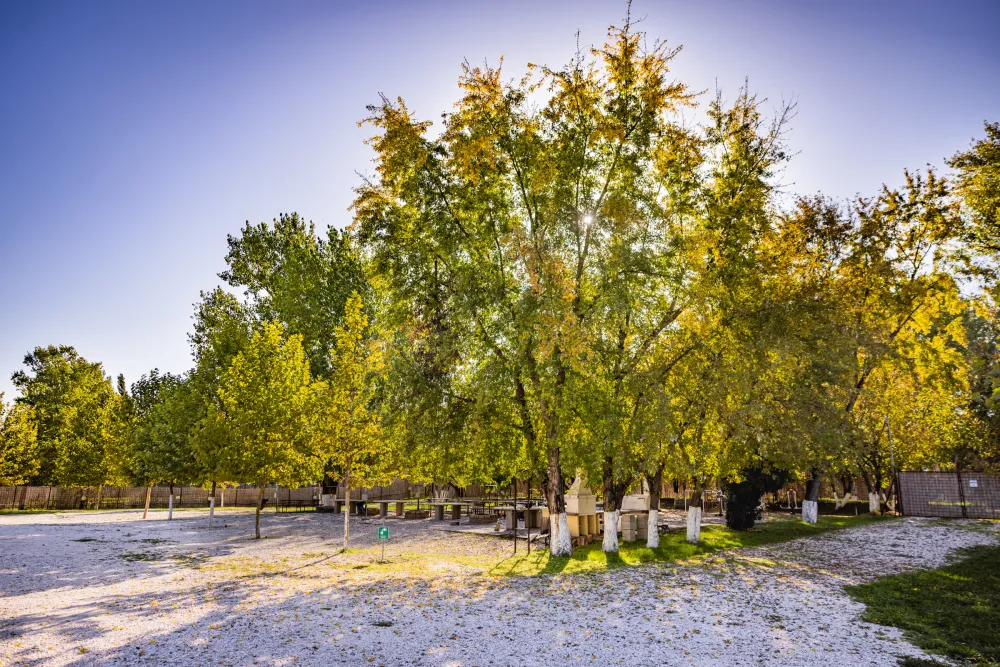 Arena Camping & Guesthouse Budapest