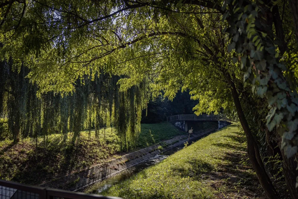 Arena Camping & Guesthouse Budapest