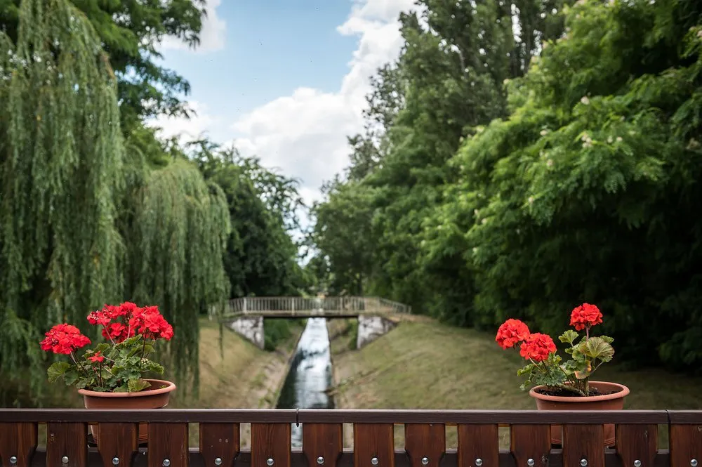 Arena Camping & Guesthouse Budapest