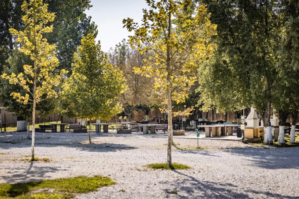 Arena Camping & Guesthouse Budapest