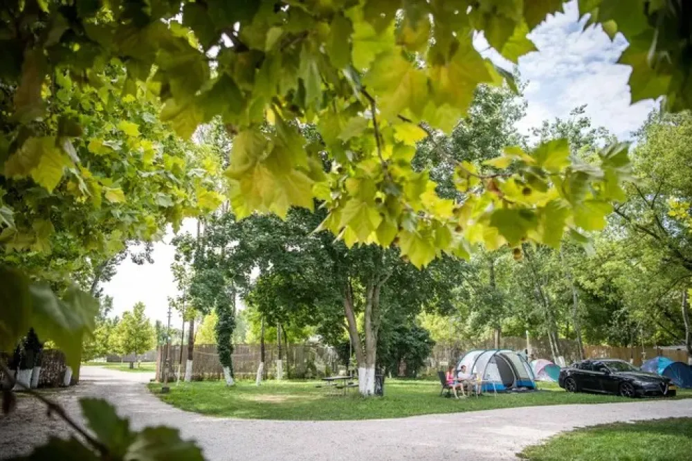 Arena Camping & Guesthouse Budapest