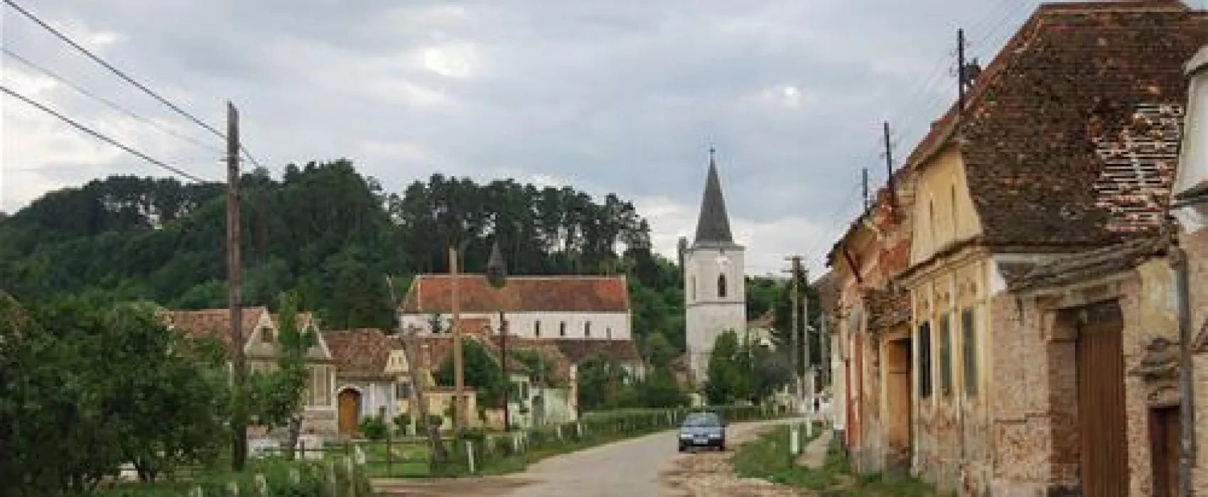 Camping La Curtea Richvini