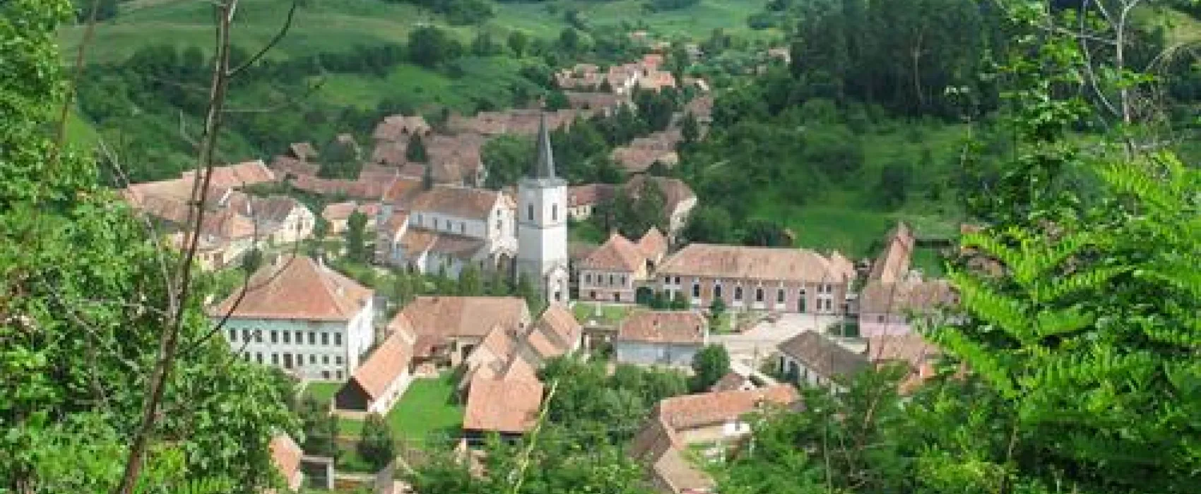 Camping La Curtea Richvini