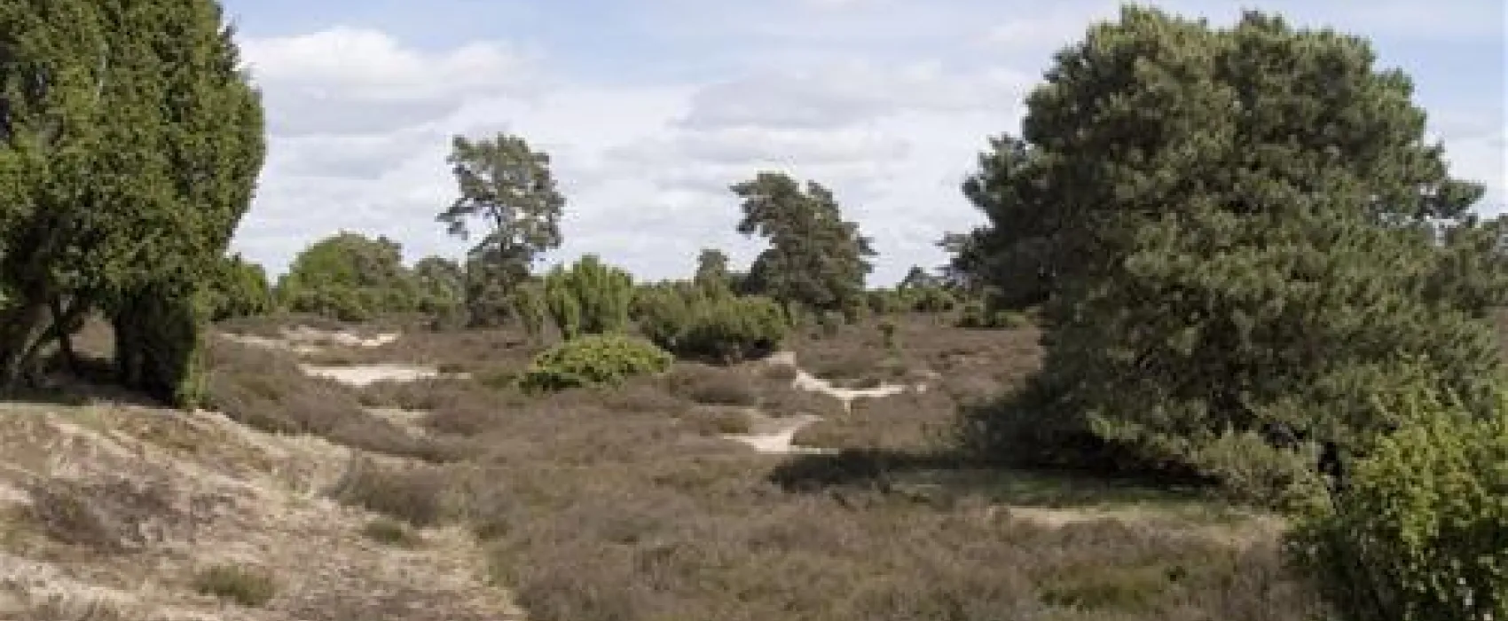 Camping Het Horstmannsbos