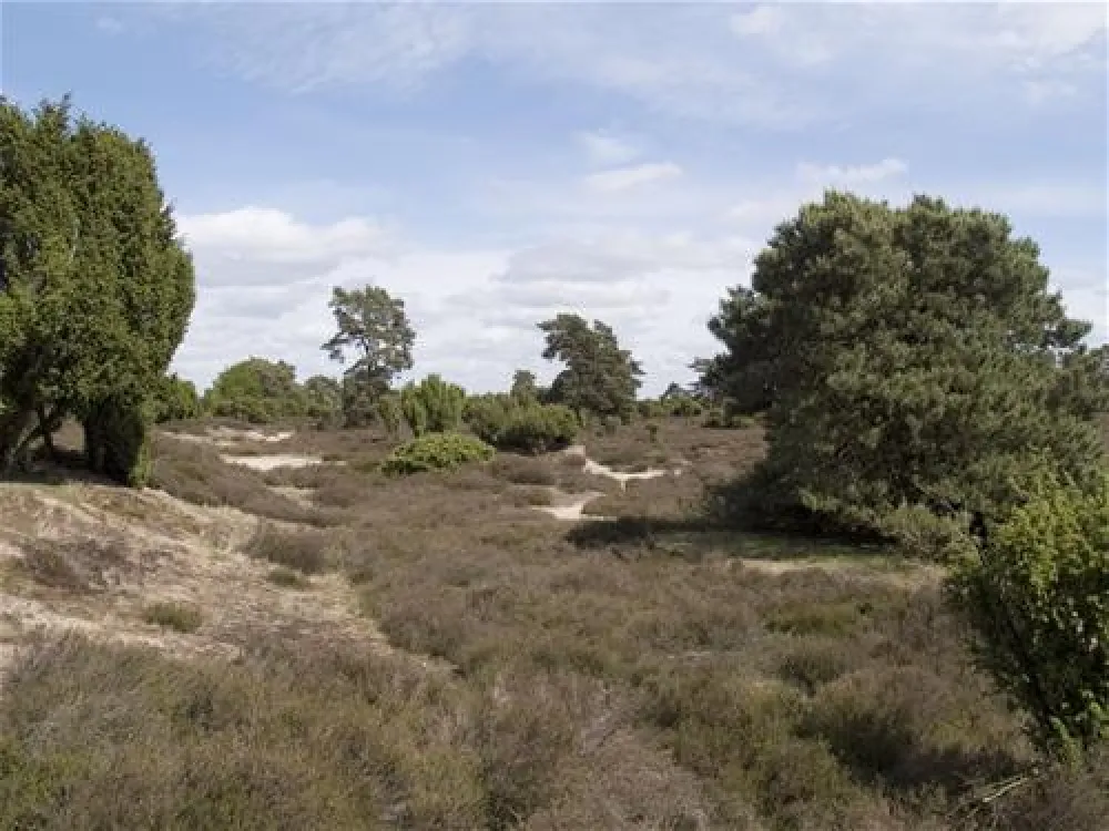 Camping Het Horstmannsbos