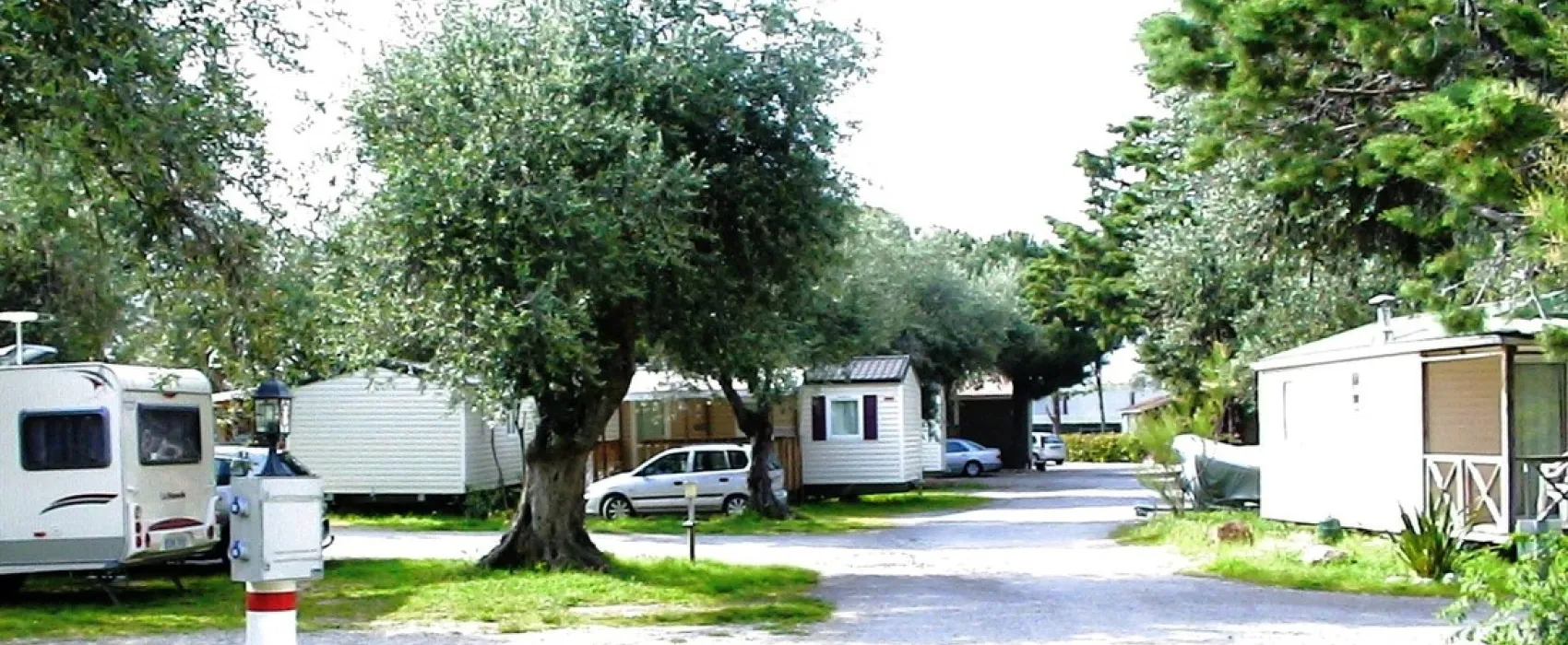 Camping Les Oliviers  