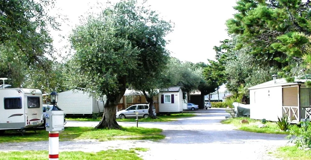 Camping Les Oliviers  