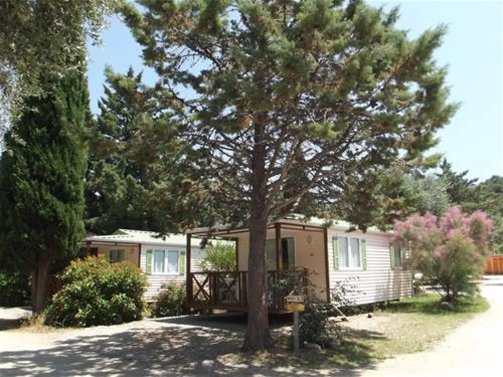 Camping Les Oliviers  