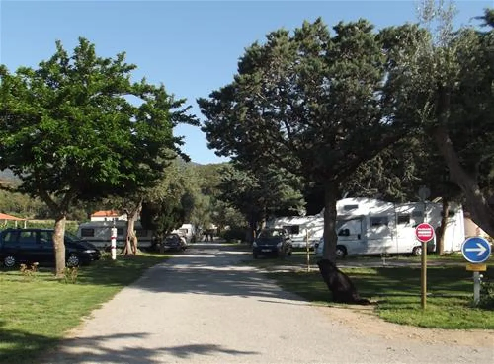 Camping Les Oliviers  