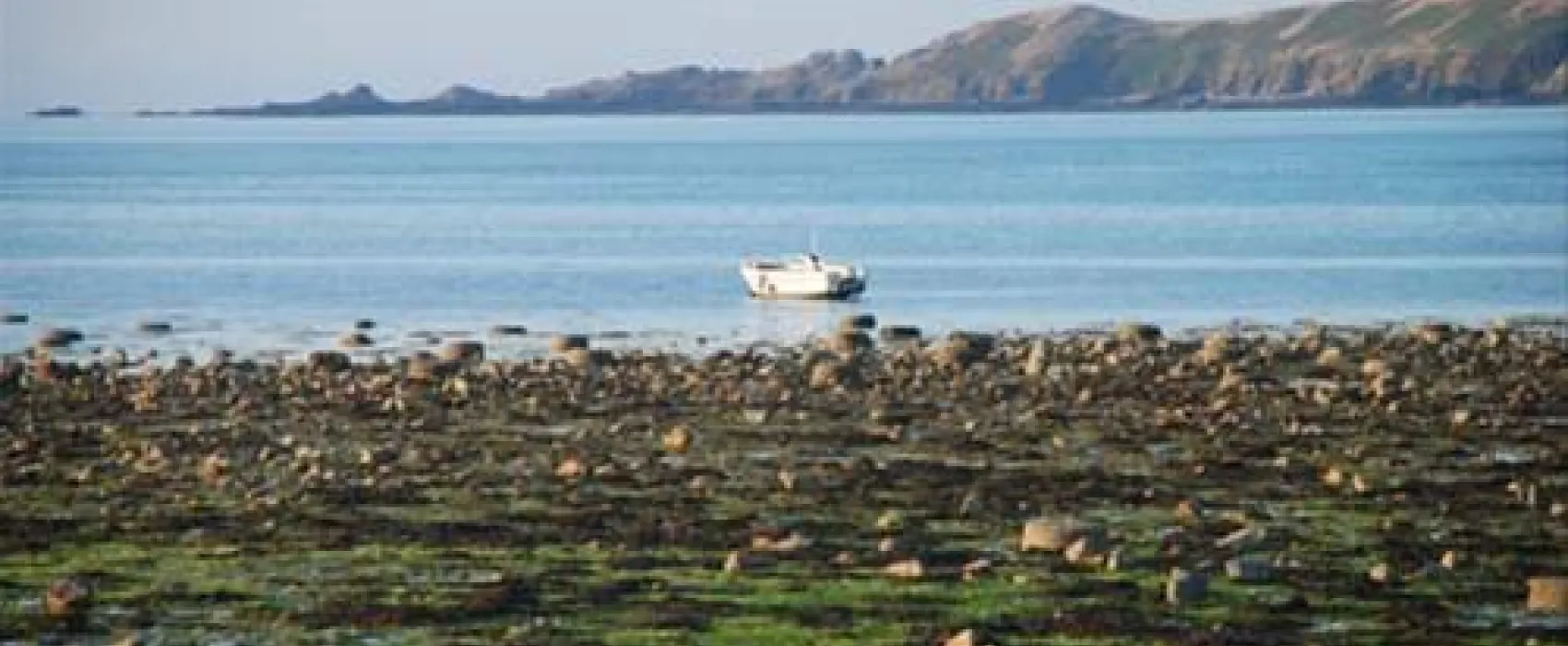 Camping municipal Ernest Renan