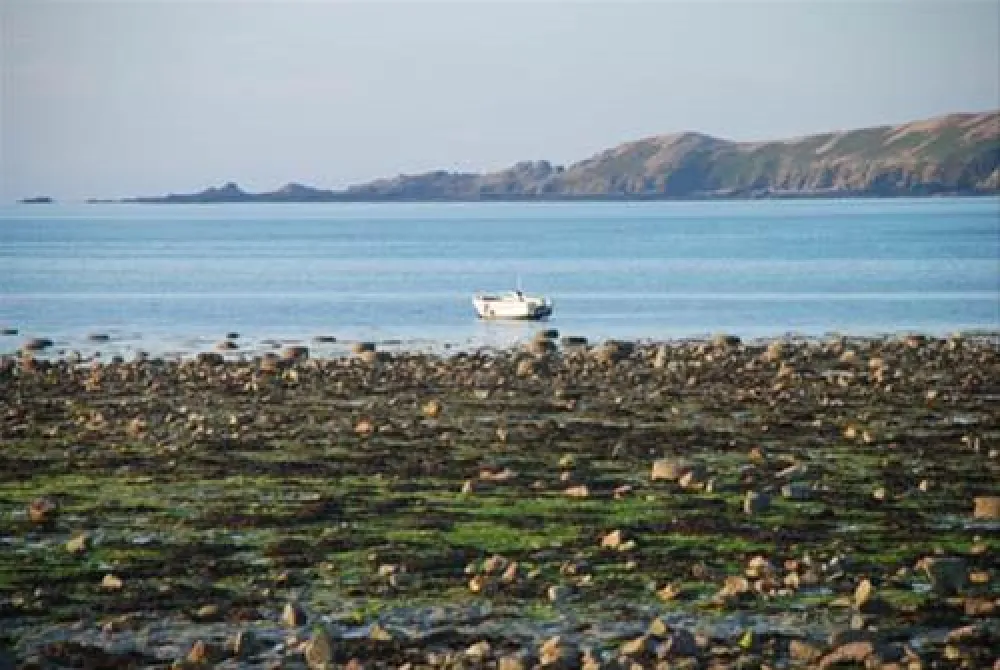 Camping municipal Ernest Renan