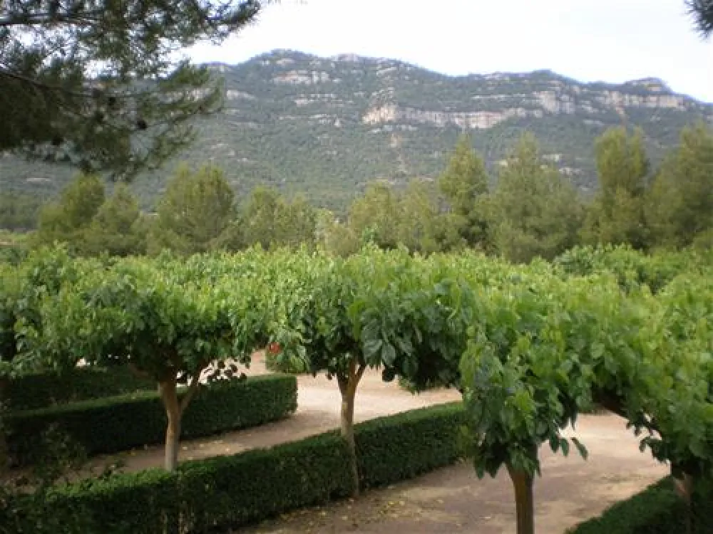 Camping Montsant Park