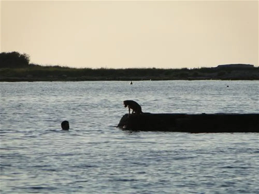 CampingIN Finida Umag