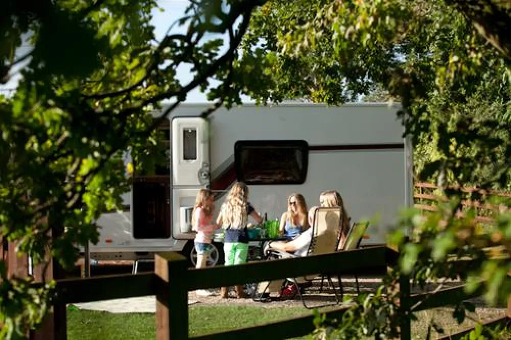 Plassey Holiday Park