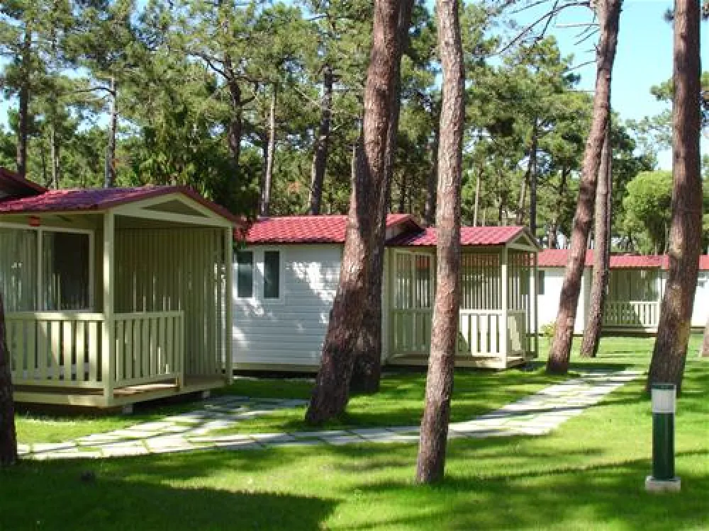 Parque de Campismo da Foz do Mondego