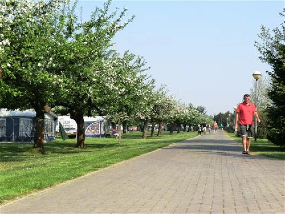 Camping De Boomgaard