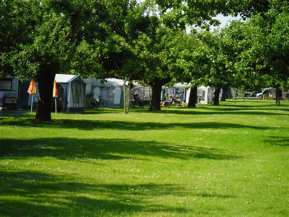 Camping De Boomgaard