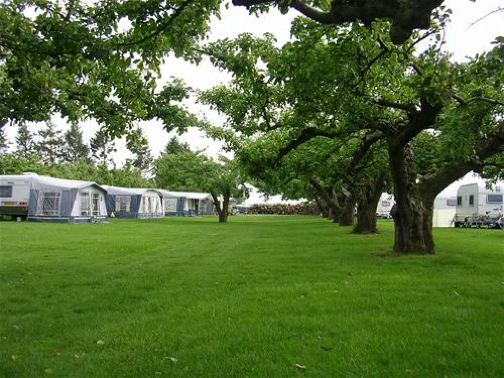 Camping De Boomgaard