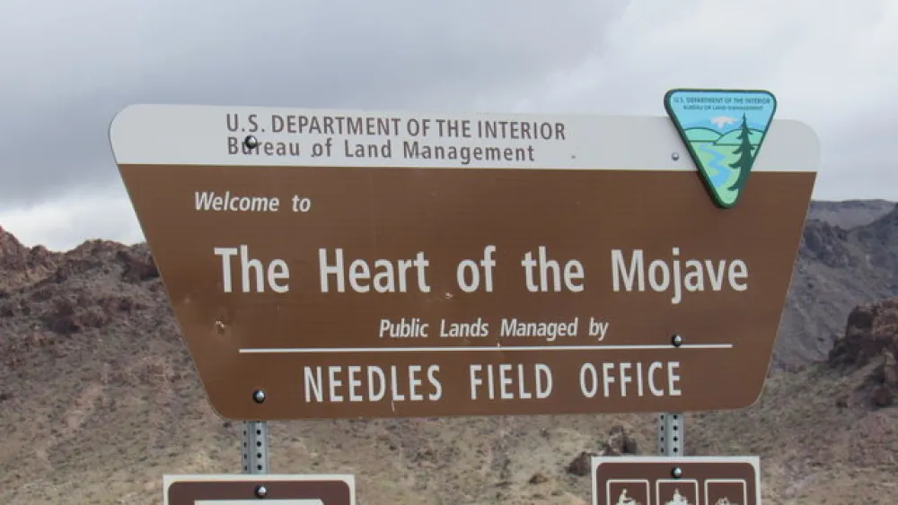 Heart of the Mojave West