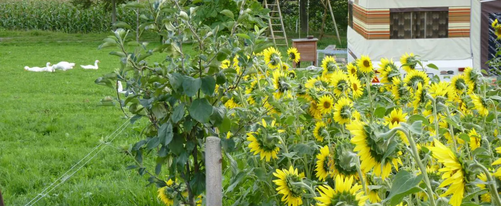Ferien- und Biohof Tröger
