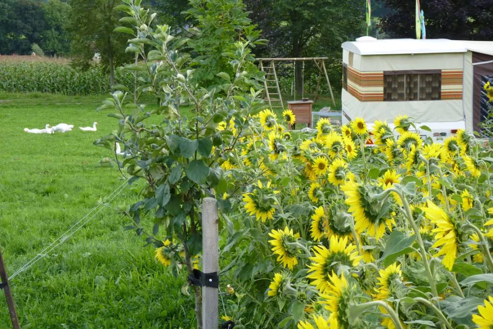 Ferien- und Biohof Tröger