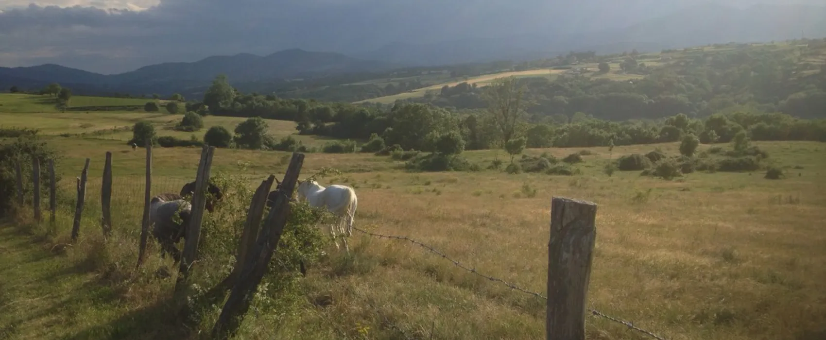 L’ Oasis Sites & Paysages