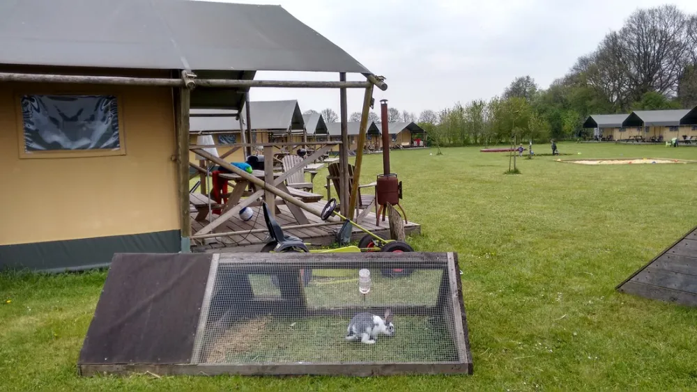 Boerencamping Hoeve Sonneclaer